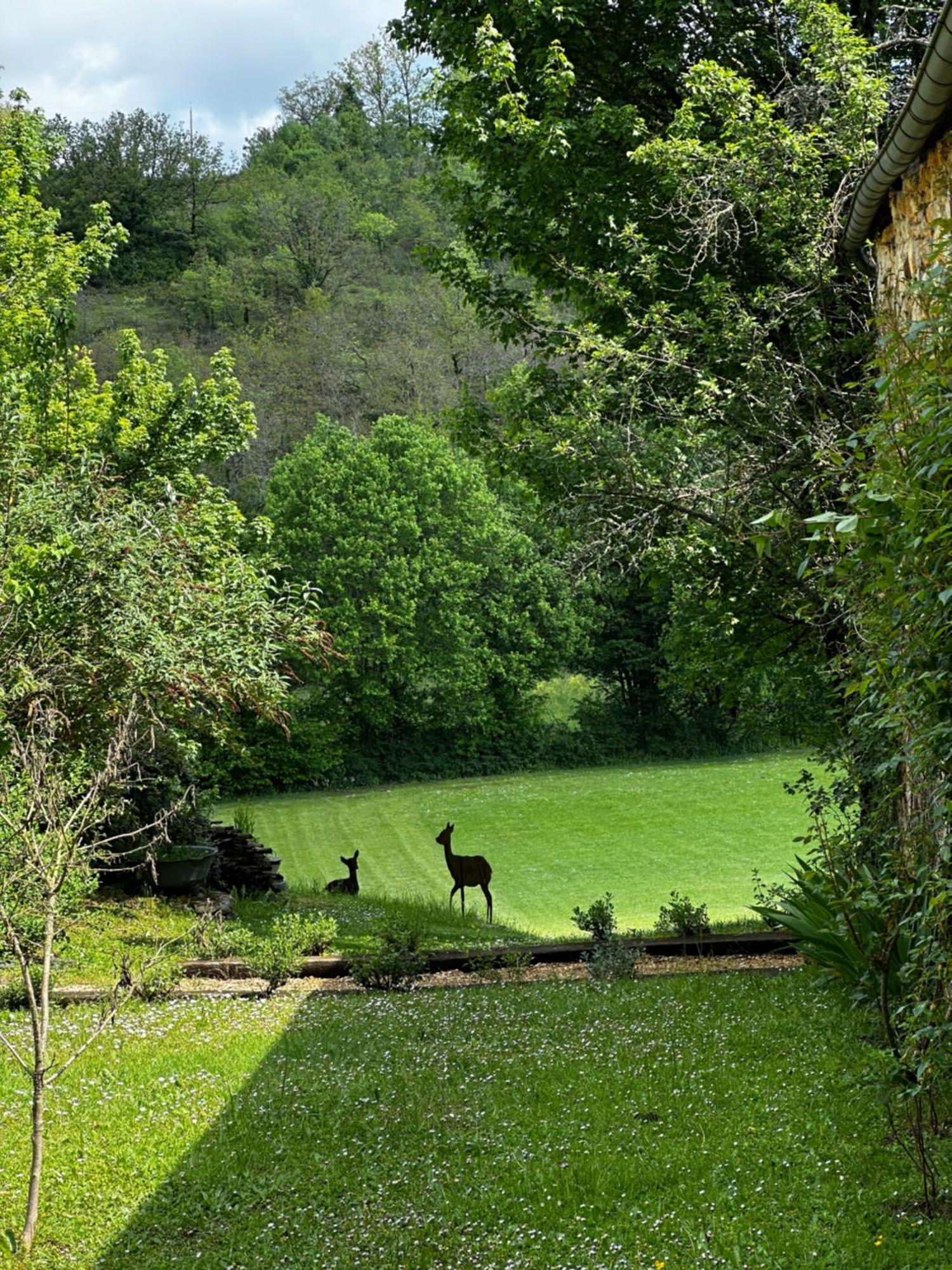 Le Vallonnet Gite Le Vigan  Exteriör bild
